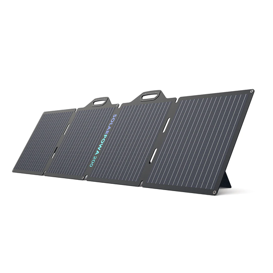 BigBlue SolarPowa 200 Solar Panel